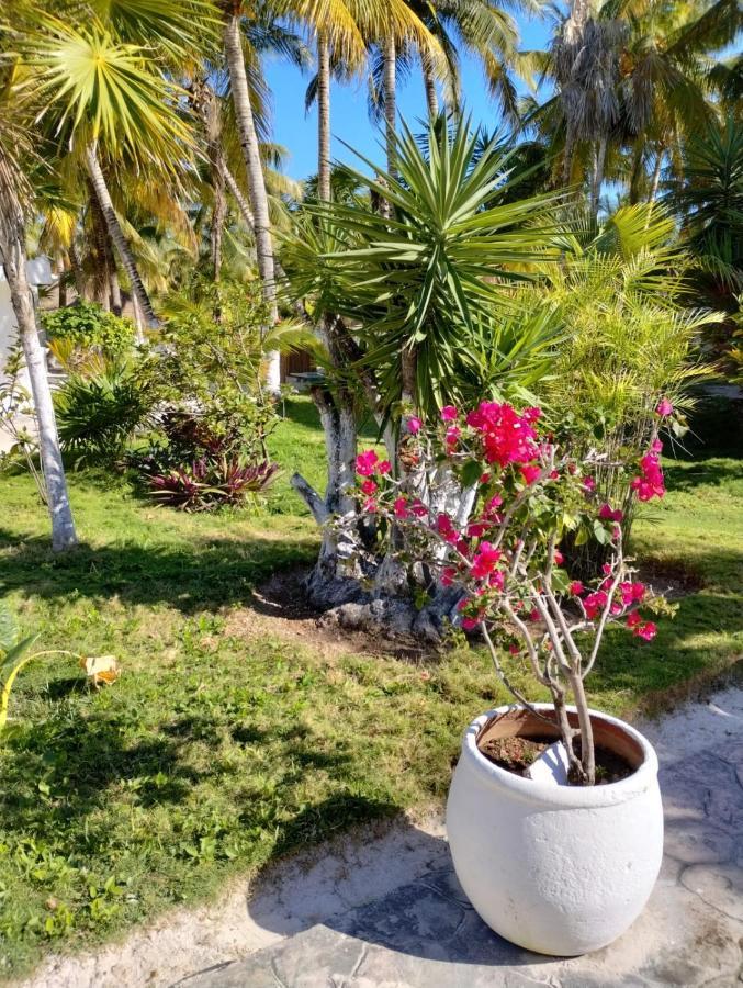 Alito Tulum Hotel ภายนอก รูปภาพ