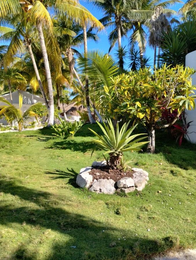 Alito Tulum Hotel ภายนอก รูปภาพ